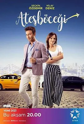 萤火虫2017